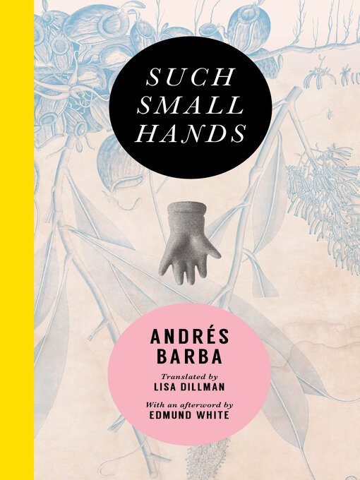 Title details for Such Small Hands by Andrés Barba - Available